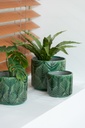 Green Tropical Ceramic Planter  5in