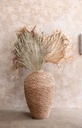 Dried Palm Fan Leaf