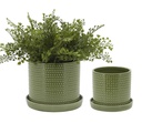 Green Dotted Planter with Saucer 6in
