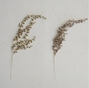 Leaf Spray with Glitter Champagne 20in