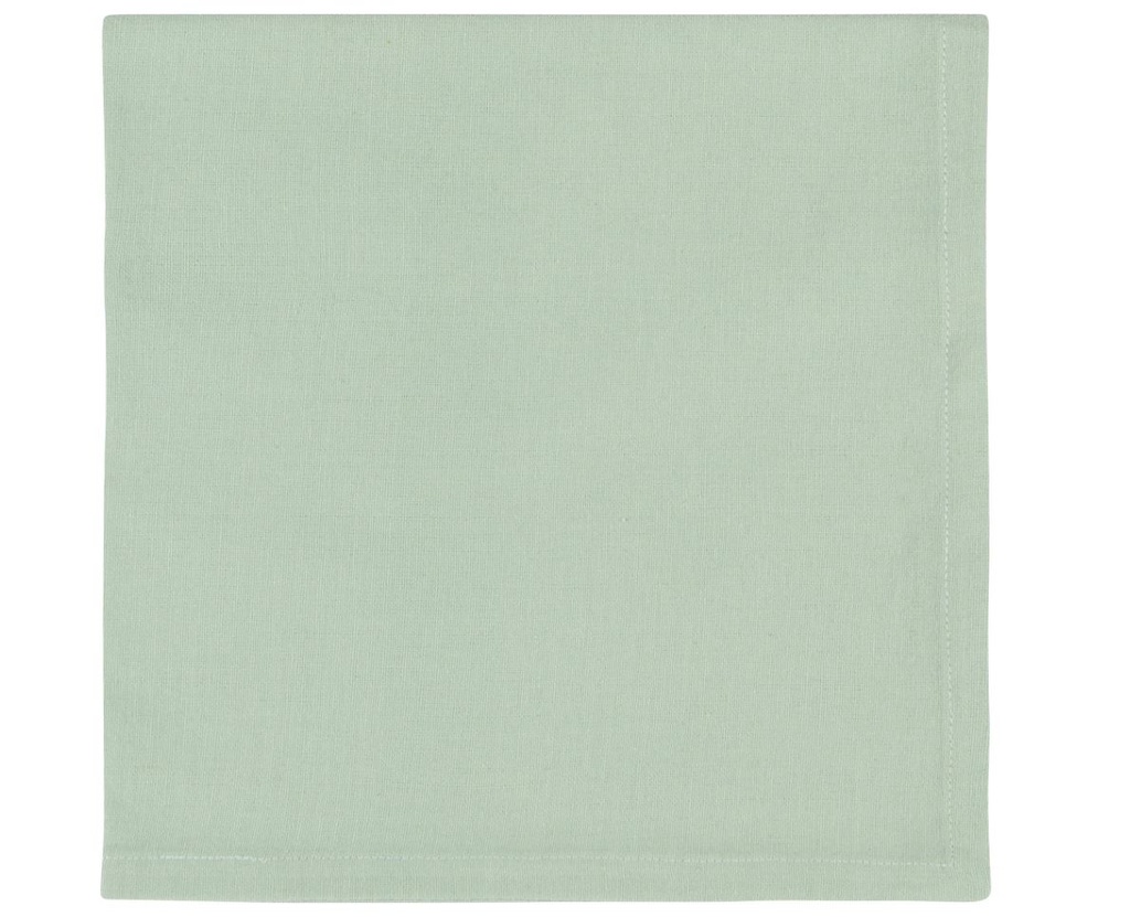 Spectrum Aloe Green Napkin