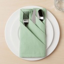 Spectrum Aloe Green Napkin