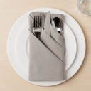 Spectrum Cobblestone Napkin