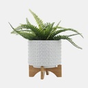 Dotted Planter w/ Stand 8in