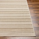 Rockport Tan Indoor Outdoor Rug 5x7