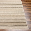 Rockport Tan Indoor Outdoor Rug 8x10