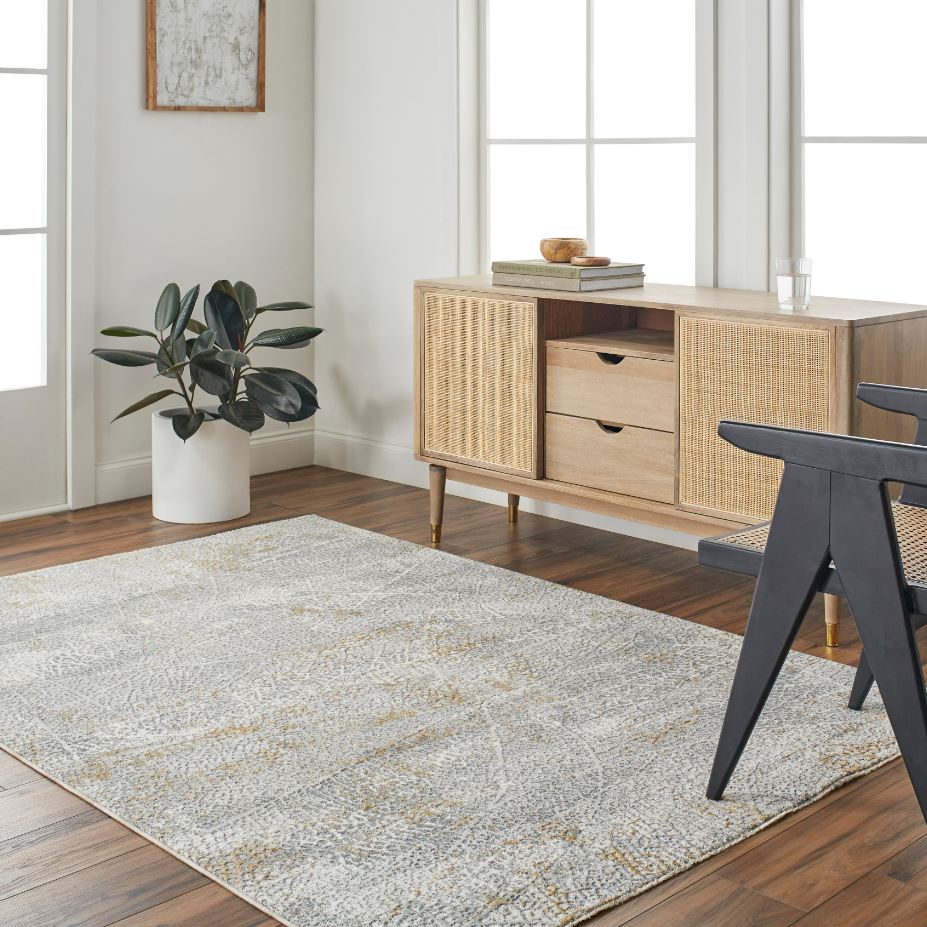 Dresden Grey Rug 7X10