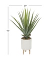 Aloe in White Footed Planter 42in