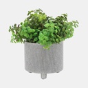 Ceramic Scratched Planter Silver 8in