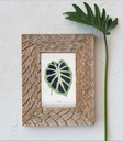 Carved Mango Wood 4x6 Frame 