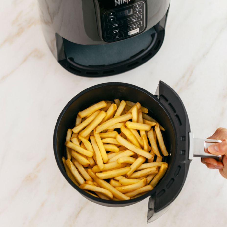 Ninja Air Fryer 4 Quart Capacity