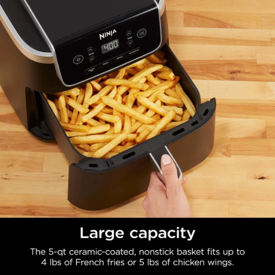 Ninja Air Fryer Pro 4-in-1