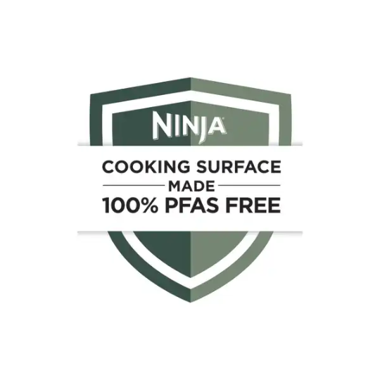 Ninja Air Fryer Pro 4-in-1