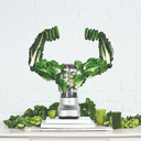 Breville Fresh and Furious Blender