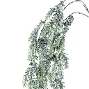 E-Com Web Images (Shiane) (3).webp