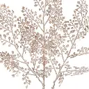 14.webp