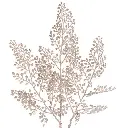13.webp