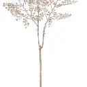 15.webp