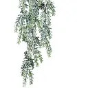 E-Com Web Images (Shiane) (1).webp