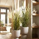 E-Com Web Images (DANNIELLA) (17).webp