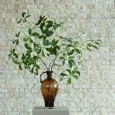 E-Com Web Images (DANNIELLA) (38).webp