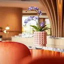 E-Com Web Images (DANNIELLA) (47).webp