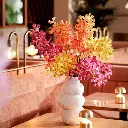 E-Com Web Images (DANNIELLA) (49).webp