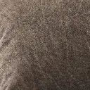 66.webp