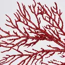 E-Com Web Images (ASHERAH) - 2025-06-02T123145.784.webp