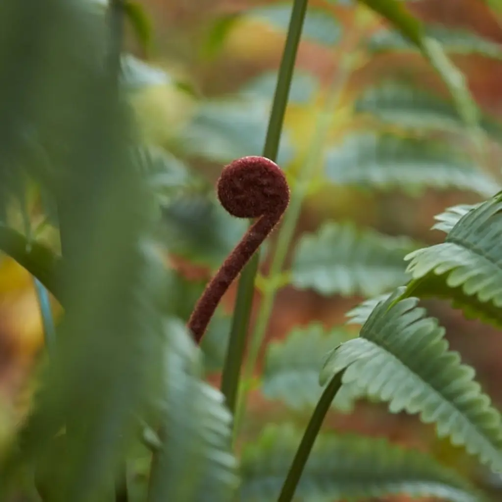 E-Com Web Images (ASHERAH) - 2025-07-18T111126.783.webp