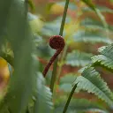 E-Com Web Images (ASHERAH) - 2025-07-18T111126.783.webp