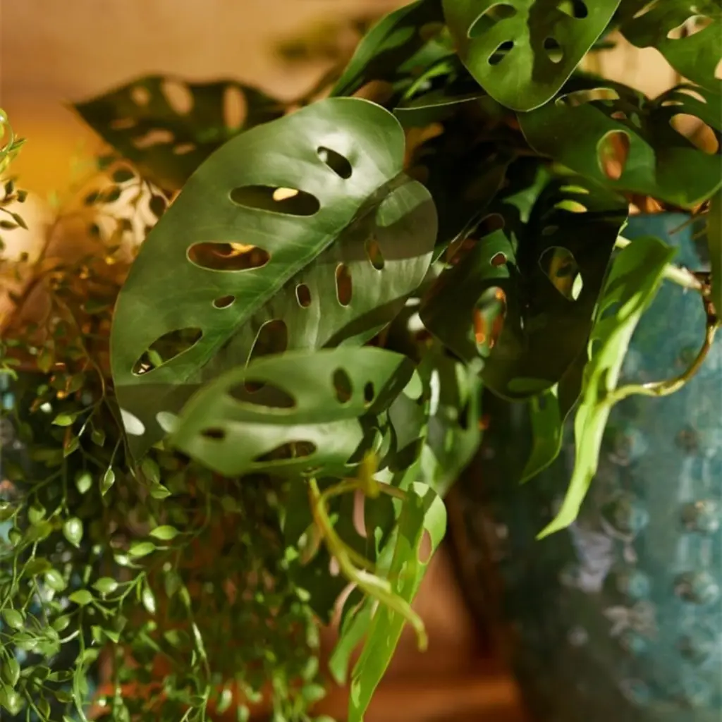 E-Com Web Images (ASHERAH) - 2025-07-18T111507.103.webp