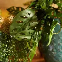 E-Com Web Images (ASHERAH) - 2025-07-18T111507.103.webp