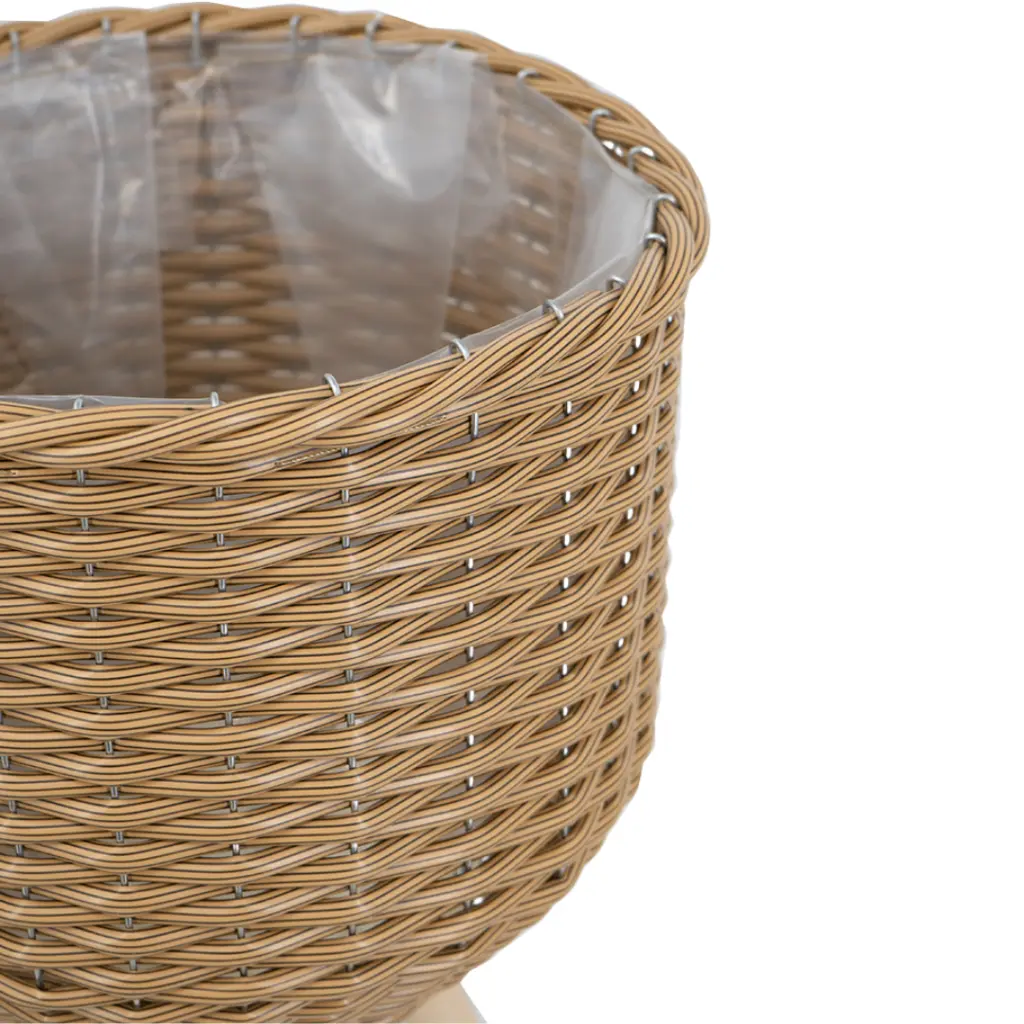 E-Com Web Images (ALEXSY) (25).webp