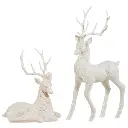 429.webp