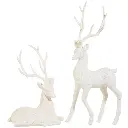 442.webp