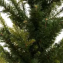 E-Com Web Images (ALEXSY) - 2025-08-14T121817.497.webp