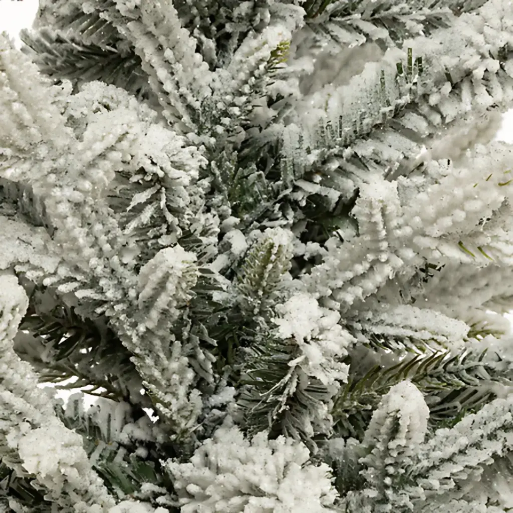 E-Com Web Images (ALEXSY) - 2025-08-14T142243.127.webp