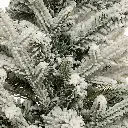 E-Com Web Images (ALEXSY) - 2025-08-14T142243.127.webp