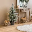 E-Com Web Images (ALEXSY) - 2025-08-14T150349.284.webp