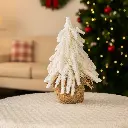 E-Com Web Images (ALEXSY) - 2025-08-14T165544.179.webp