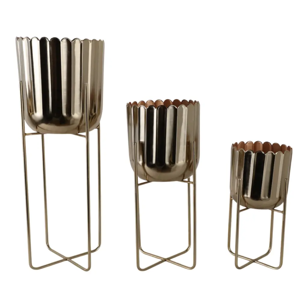 E-Com Web Images (ASHERAH) - 2025-09-18T160805.757.webp