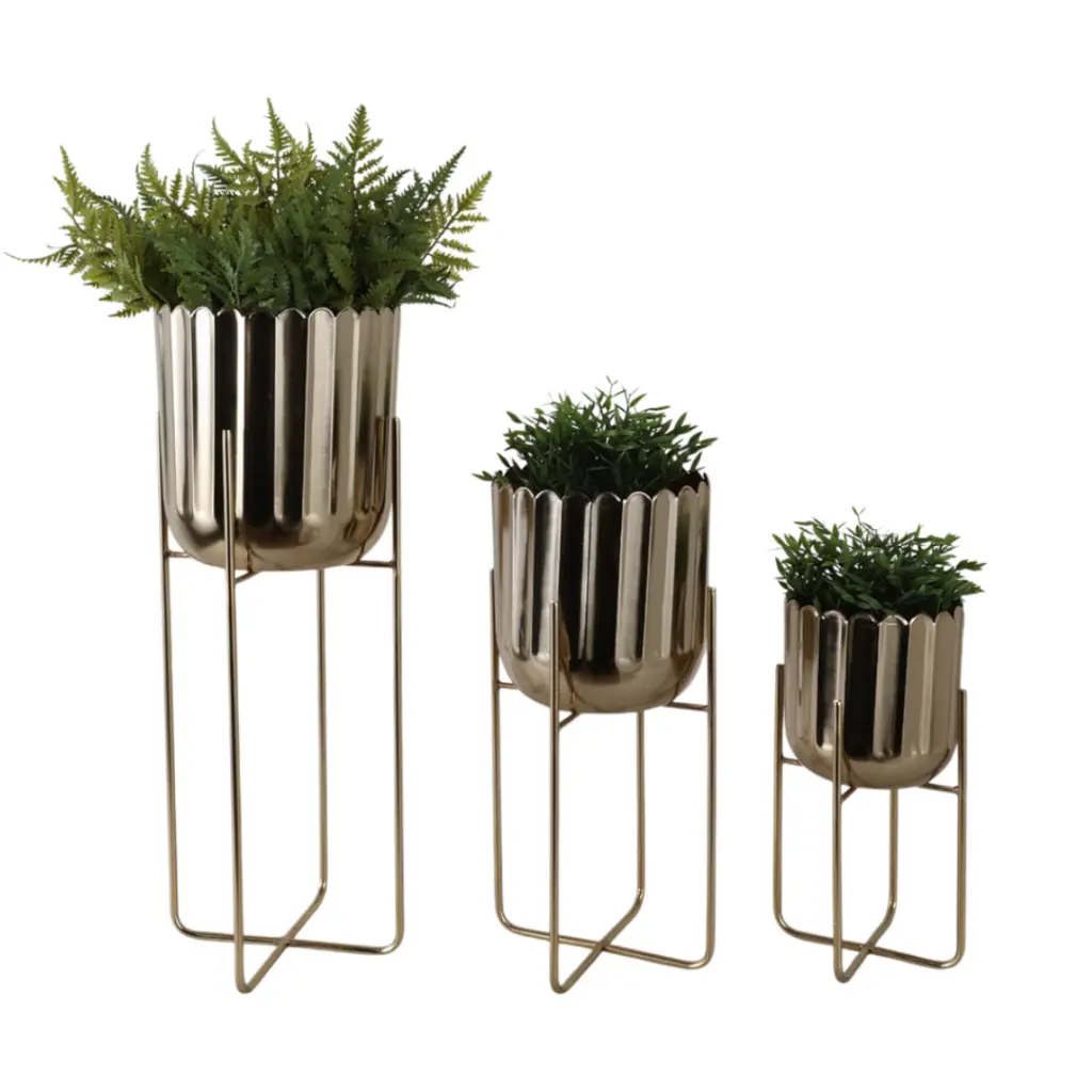 E-Com Web Images (ASHERAH) - 2025-09-18T160824.575.webp