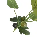 E-Com Web Images (ALEXSY) - 2025-12-03T091159.149.webp