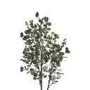 E-Com Web Images (ALEXSY) - 2025-12-03T091258.455.webp