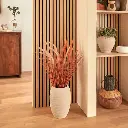 E-Com Web Images (ASHERAH) - 2026-01-17T143225.622.webp