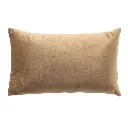 E-Com Web Images (ASHERAH) - 2026-03-26T151320.585.webp