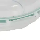 106.webp