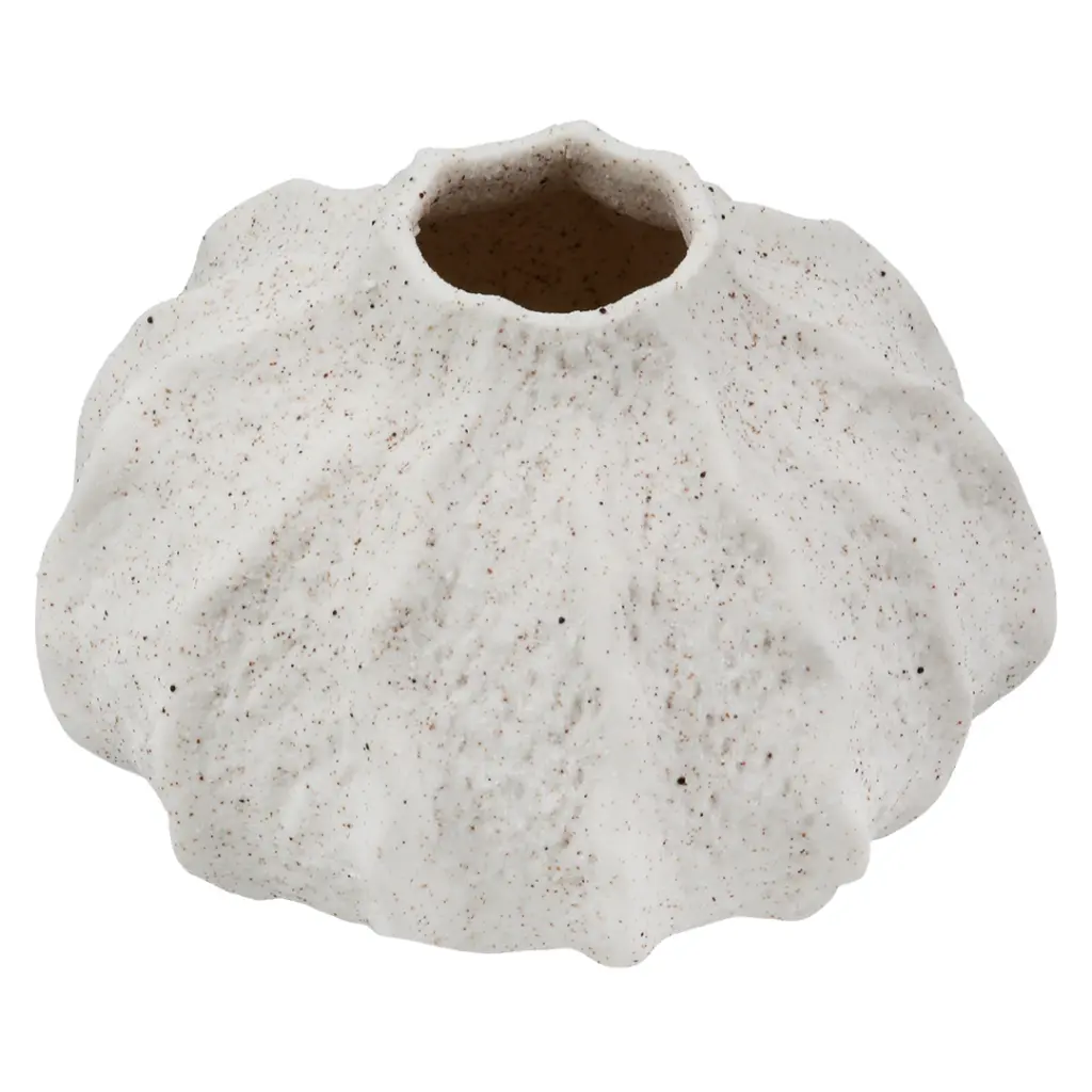 E-Com Web Images (ASHERAH) - 2026-04-18T144829.147.webp