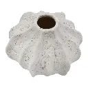 E-Com Web Images (ASHERAH) - 2026-04-18T145112.537.webp